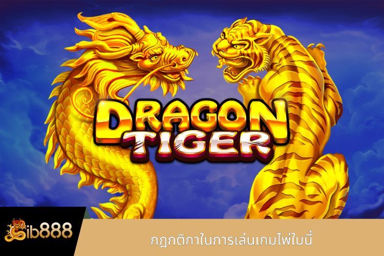 กฎกติกาในการเล่นเกมไพ่ใบนี้