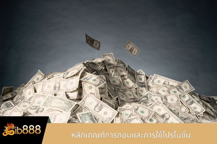 หลักเกณฑ์การถอนและการใช้โปรโมชั่น